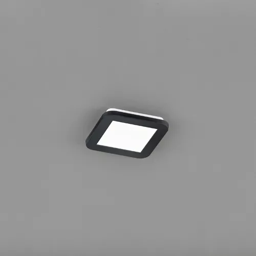 LED Deckenleuchte CAMILLUS